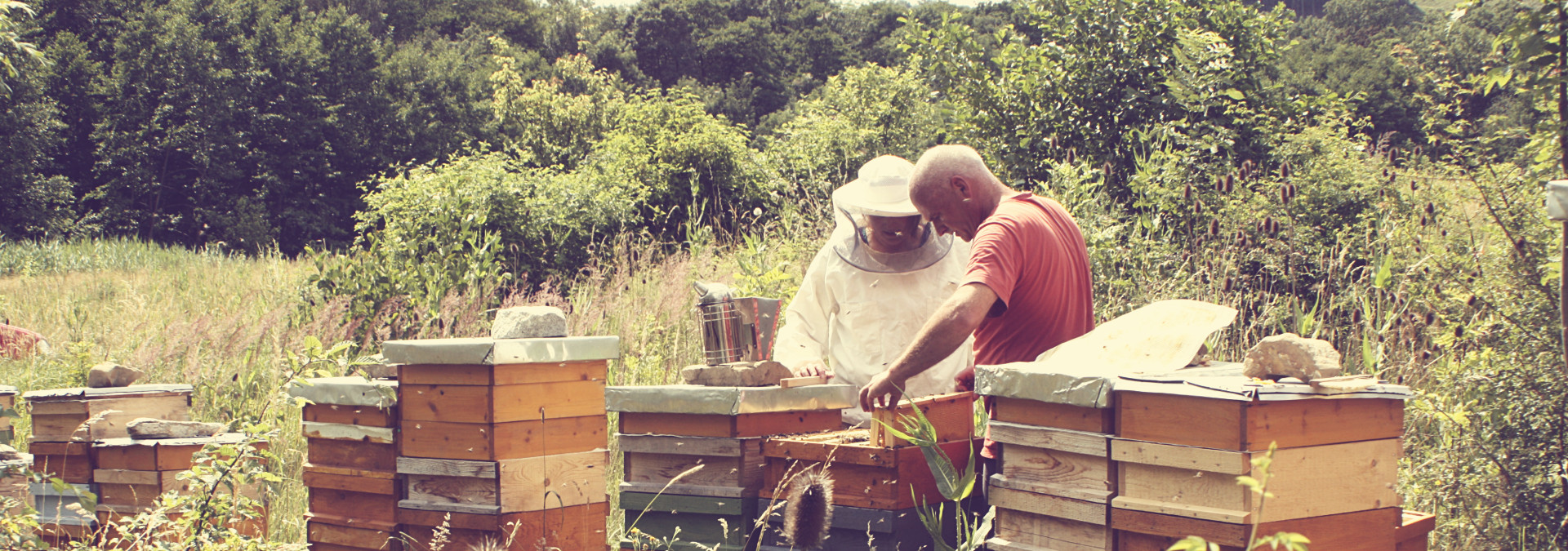 Arbeiten am Bienenstand